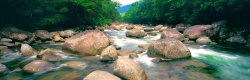 Mossman Gorge